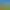 Eine Hand hält einen Topf mit süßem elsässischem Senf in einem Feld gelber Blumen unter einem blauen Himmel