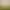 Weinberge im Herbst unter einem teilweise bewölkten Himmel mit grünen Hügeln im Hintergrund
